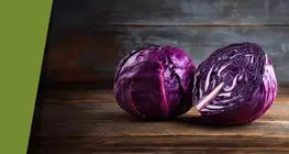 Многоцветното червено зеле