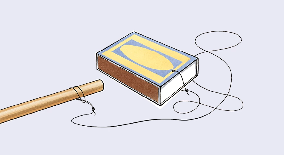 Жаба-цигулка