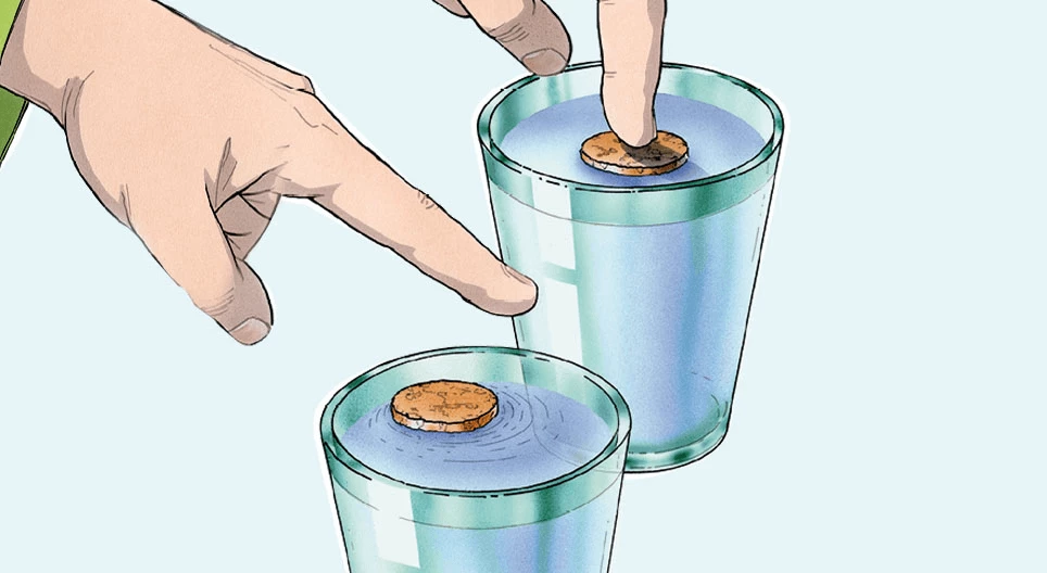 Вярната коркова запушалка